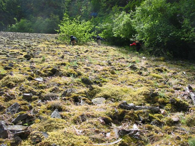 climbing the rockfall