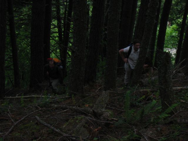 steep climbing in the woods